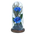 thumbnail image 1 of Regalo navideño para mujeres: rosas brillantes con cúpula de cristal, 1 of 5