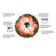 thumbnail image 2 of Lámpara De Paisaje De Flores Lámpara De Decoración De Plástico Con Forma De Flor Simulada Lámpara De Flotador De Carga Solar Led Lámpara De Decoración Impermeable Para Piscina De Estanque De Jardín Sweethay HA025802-01, 2 of 6