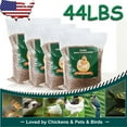 Lohoms Organic Mealworms 44 LBS - High Protein, Non-GMO Feed for