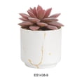 thumbnail image 2 of Monstrate 4 paquetes/lote exquisita planta suculenta hecha a mano con buena sensación de mano-aspecto realista no tóxico Decoración ES1438-9, 2 of 6