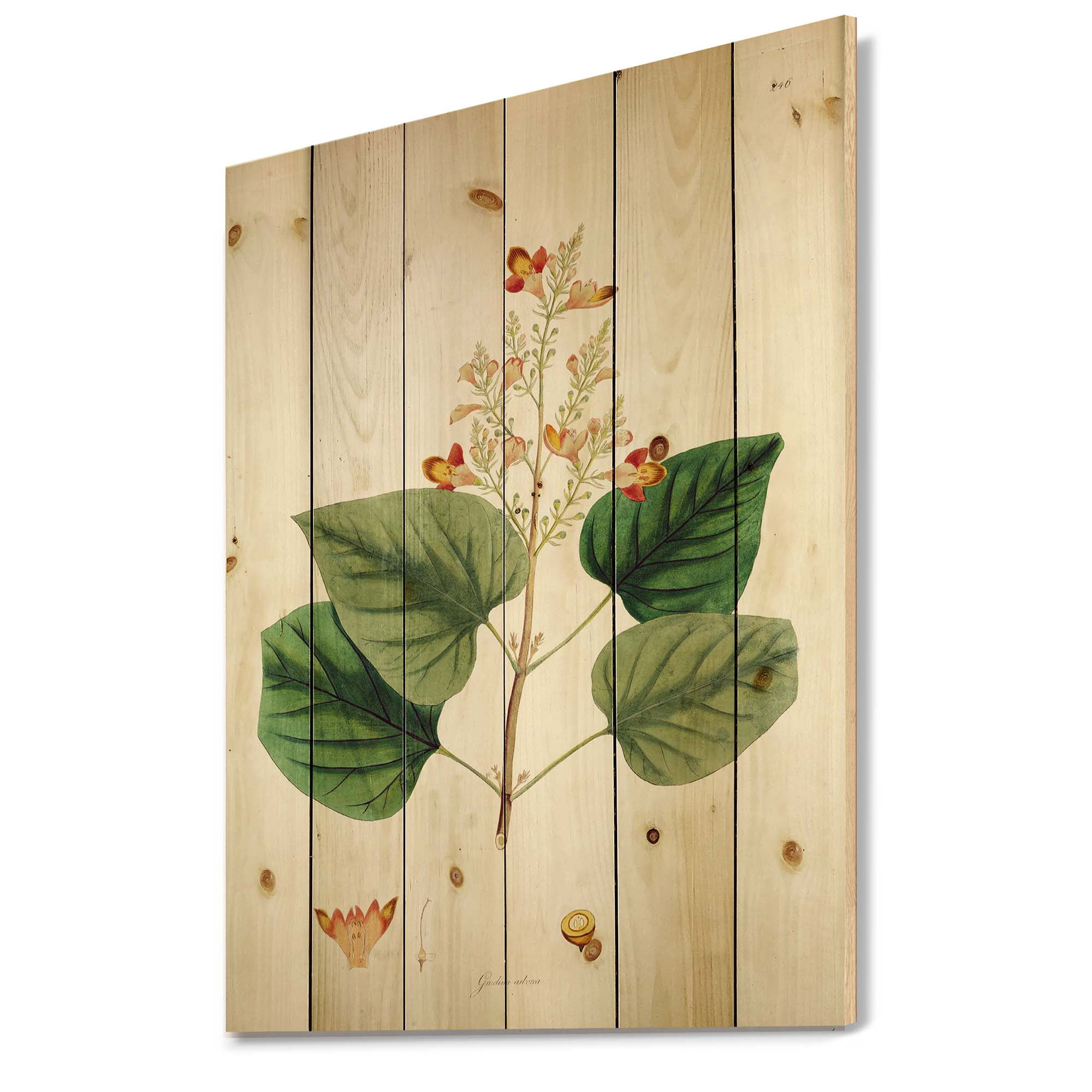 Designart 'Ancient London Plants XII' Farmhouse Print on Natural Pine Wood