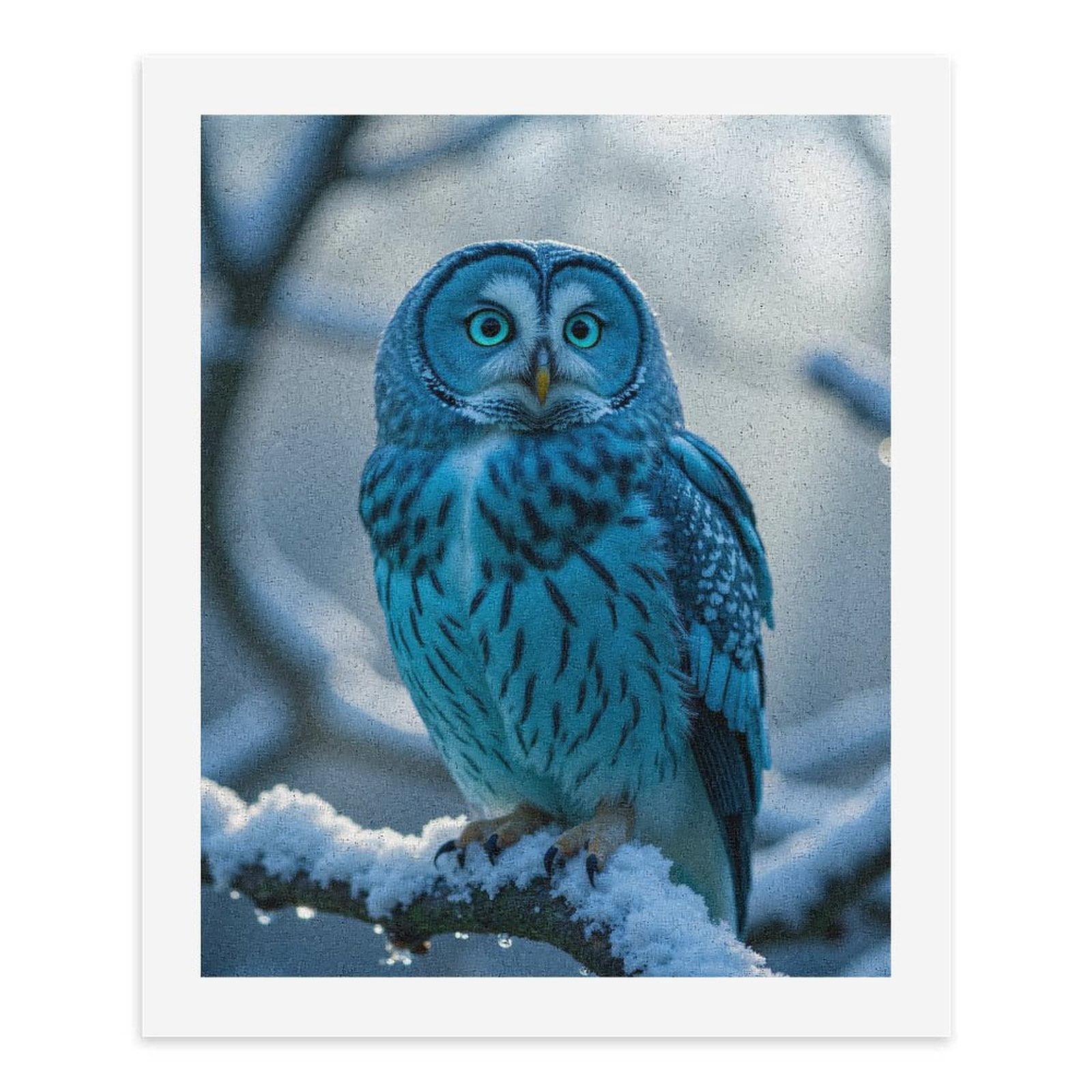 Paint by Numbers Kit for Adults, Blue Owl Snowy Branch Winter Paint by Numbers, Easy Paint by Numbers Kit for Adults Beginner, DIY Adult Paint by Number Kits on Canvas, Home Decor