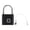 Black, variant on NFTIGB Biometric Fingerprint Padlock Smart Keyless Lock Waterproof Outdoor Security 0.5S Quick Unlock for School Gym Locker Travel Bags, Black (3.94 inches / 10 cm)