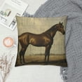 thumbnail image 2 of Nawypu  Square Pillow Cover - Decorative Throw Pillowcase, Farmhouse Horse, 2 of 5