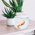 thumbnail image 4 of Miangastore 2pcs Transparent Fish Bowl Desktop Small Fish Bowl Plastic Fish Bowl Transparent Desktop Small Aquarium Fish Bowl For Home, 4 of 8