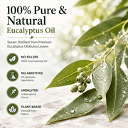 Eucalyptus Essential Oil - 4 fl oz (118 ml) Glass Bottle w/ Cap & Additional Glass Dropper - 100% Pure Essential Oil by GreenHealth