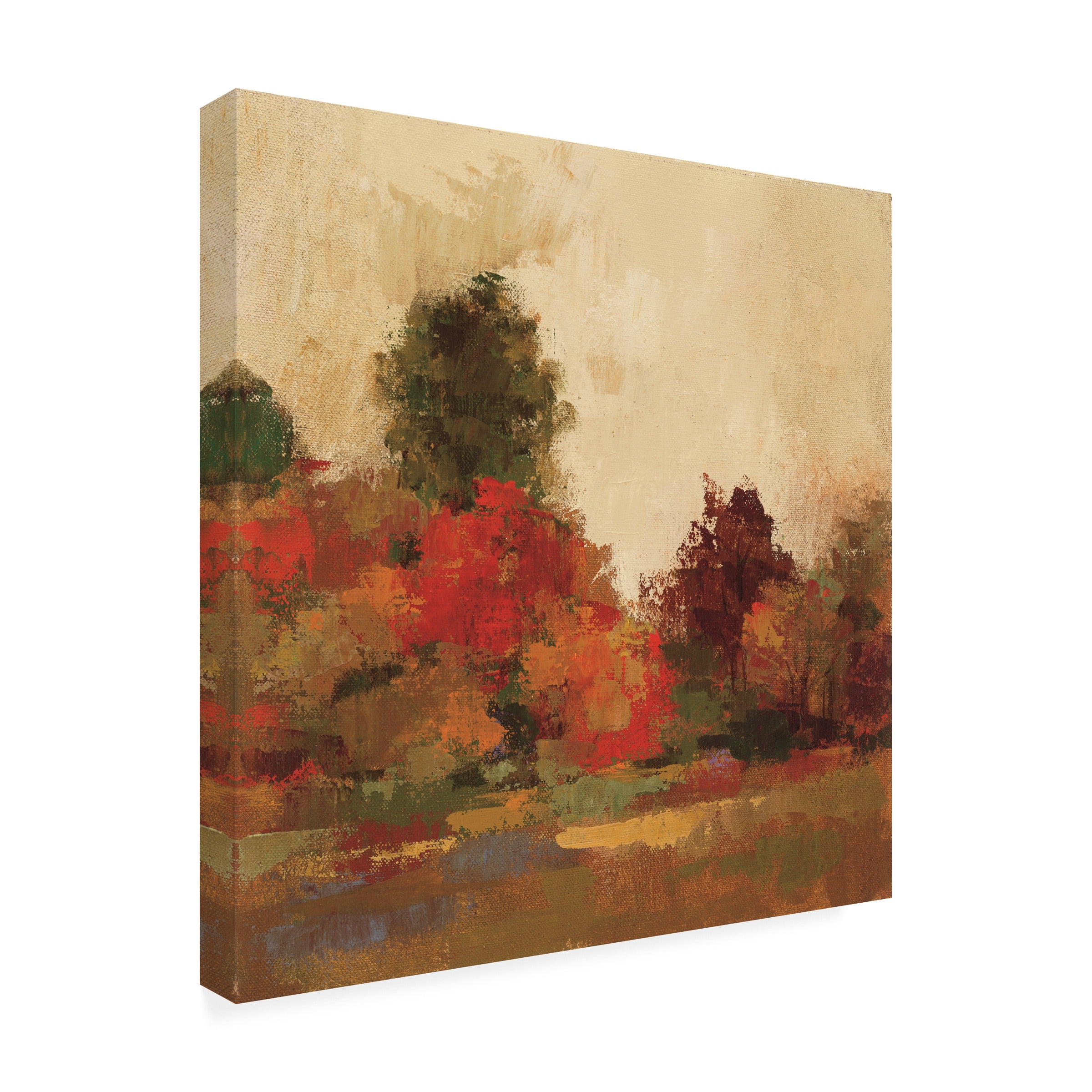 Silvia Vassileva 'Fall Forest III' Outdoor Canvas 14x12