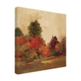 thumbnail image 2 of Silvia Vassileva 'Fall Forest III' Outdoor Canvas 35x30, 2 of 5