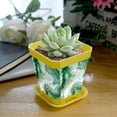 thumbnail image 5 of HemaKayy Decorative Planter Pot Set - Perfect for Small Plants - Colorful Design With Drainage Hole - Ideal for Home and Garden Decor - Set of 8 - Unique Marble Texture, 5 of 6
