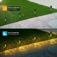 thumbnail image 4 of 8 Pack Solar Pathway Lights, Outdoor Dusk to Dawn Auto-on/off Landscape Lamp for Lawn, Patio, Yard, Garden, Driveway, Warm White, 4 of 9