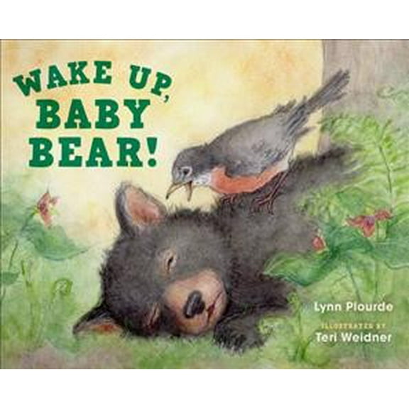 Wake Up, Baby Bear! (Hardcover)