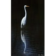 thumbnail image 4 of David Drost 21x32 Black Modern Wood Framed Wall Art Titled - Elegant Egret II, 4 of 6