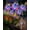 6pcs, variant on Magical Holographic Rainbow Solar Pinwheel Lights, Waterproof Solar Windmill Garden Lights with Color Changing LED Glow, Kinetic Wind Spinner Stake Outdoor Yard Decor for Pathway Lawn Patio(1PC)