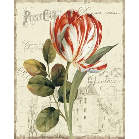- Garden View II - Red Tulip Poster Print by Lisa Audit
