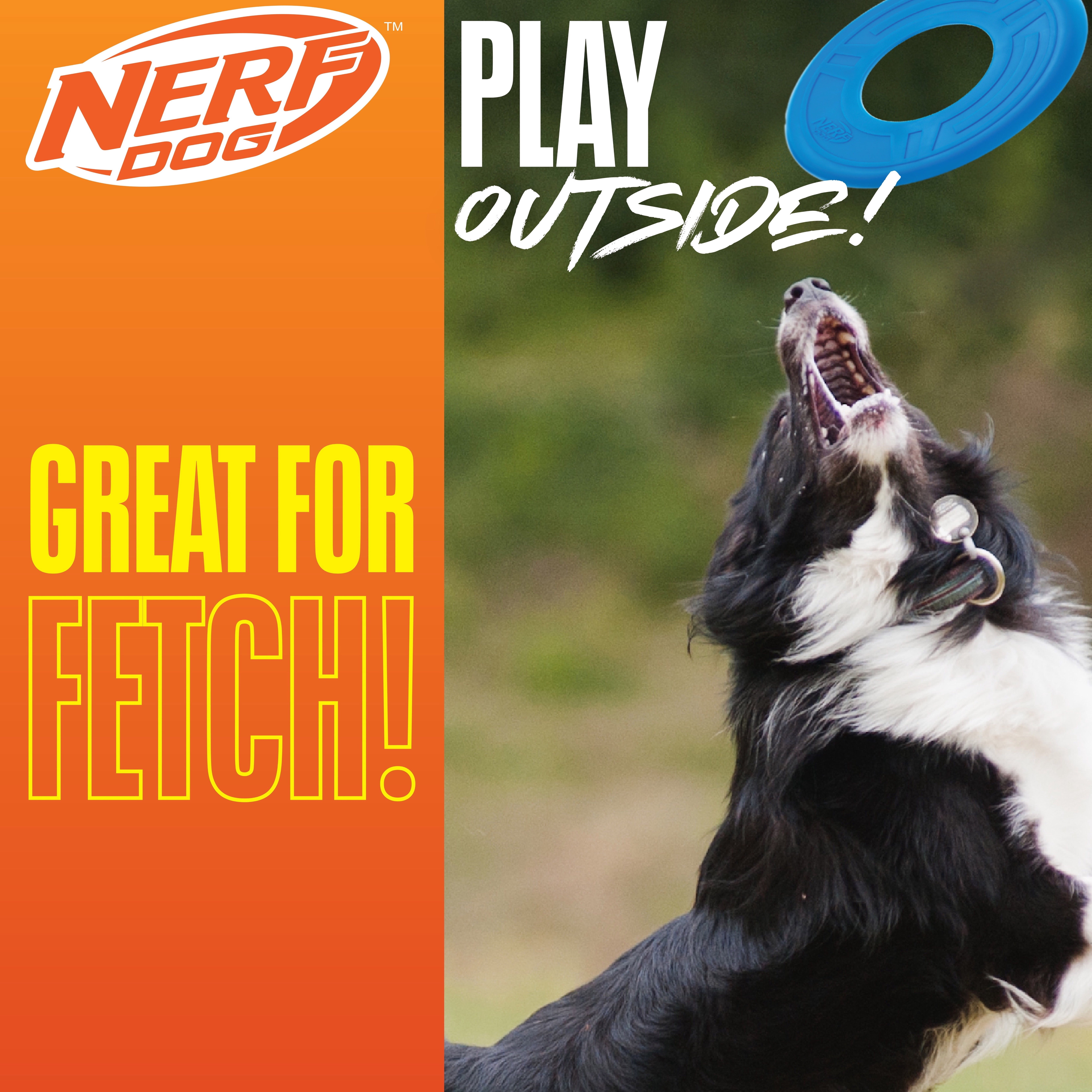 Nerf Dog, Toy, Atomic Flyer 10 inch, Blue, Made from TPR Rubber