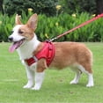 thumbnail image 4 of Escape Proof Cat Dog Harness And Leash Set Breathable Lightweight Jacket With Reflective Stripe Step-in Cat Vest Harness For Outdoor Walking Training, 4 of 5