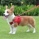 thumbnail image 4 of Escape Proof Cat Dog Harness And Leash Set Breathable Lightweight Jacket With Reflective Stripe Step-in Cat Vest Harness For Outdoor Walking Training, 4 of 5