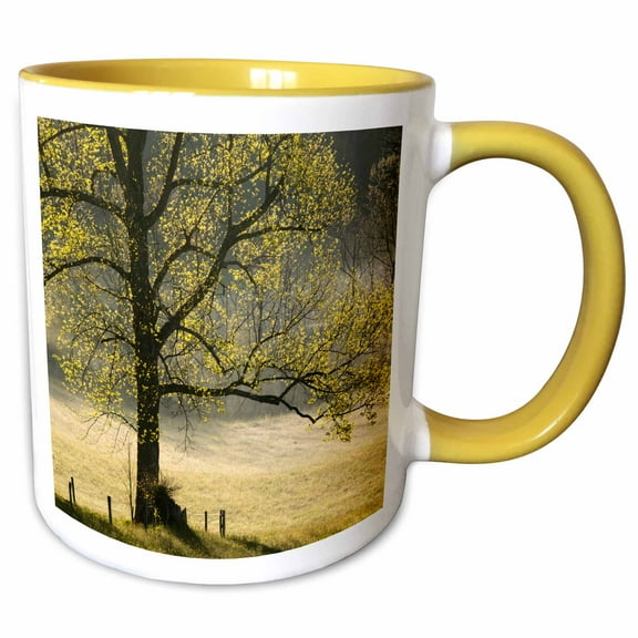 3drose, Tree Backlit at Sunrise, Cades Cove, Smoky Mountains N.p., Tennessee, 11oz Two-tone Yellow Mug