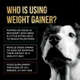 Dog Weight Gainer Weight Gain Supplements For Dogs Canine And Dog Muscle Builder Dog