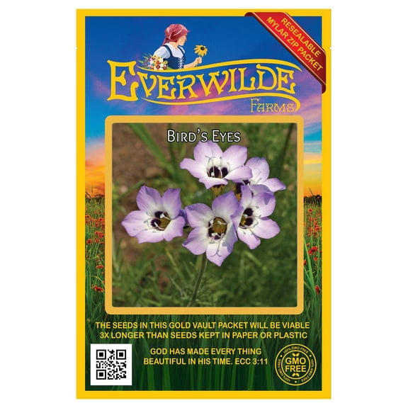 Everwilde Farms - 2000 Birds Eyes Native Wildflower Seeds - Gold Vault Jumbo Bulk Seed Packet