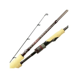 Daiwa TD Surf Spinning Rod 12ft Medium Heavy 2 Piece