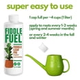thumbnail image 6 of Fiddle Fuel – The Ultimate Fiddle Leaf Fig Premium Plant Fertilizer Liquid Nutrients Super Easy to Use for Fig Trees and House Plants (Ficus Lyrata) – 8 oz, 6 of 8