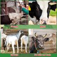 thumbnail image 4 of 50 Piezas de Aros de Anillos con Ruedas para Toros, Herramientas de Fundición para Ganado, Adecuadas para Uso en Pastizales y Manejo de Animales., 4 of 5