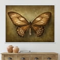 thumbnail image 2 of Designart 'Ancient Butterfly In Earth Tones' Vintage Framed Canvas Wall Art Print, 2 of 5