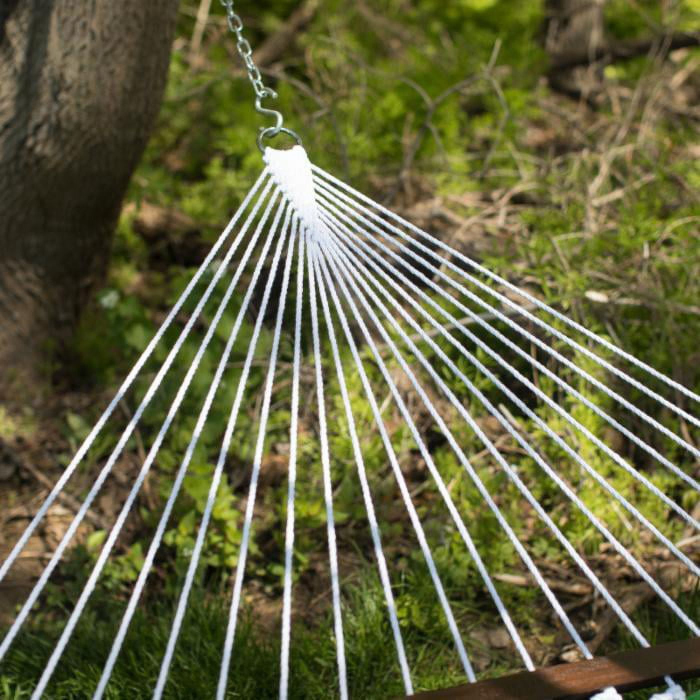 Coral 2025 coast hammock