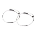 thumbnail image 4 of 2 Piezas Aros Oreja Piercing Nariz Labio Acero Inoxidable Anillo Quirurgico para Hombre y Mujer 6 mm de plata Sunnimix, 4 of 8