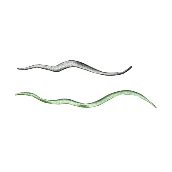 ID 0387AB Set of 2 Ocean Wave Patch Beach Craft DIY Embroidered Iron On Applique