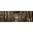 thumbnail image 3 of Blaustein, Alan 14x7 Black Modern Framed Museum Art Print Titled - Hampton Gates Promenade - 2, 3 of 5