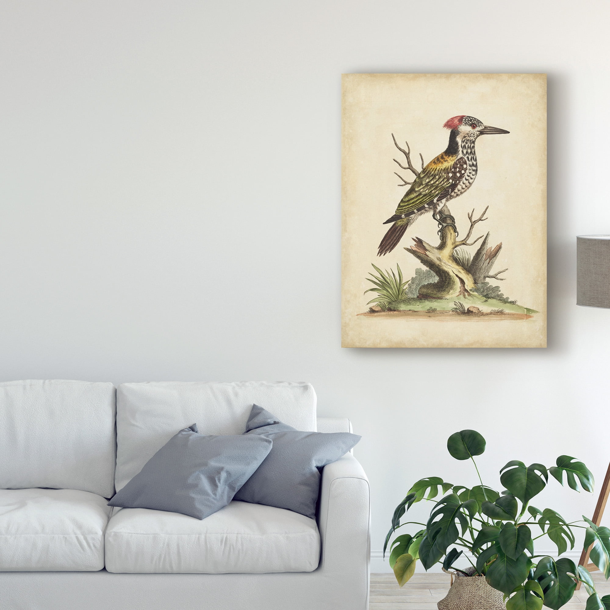 Trademark Fine Art 'Edwards Woodpecker' Canvas Art by George Edwards