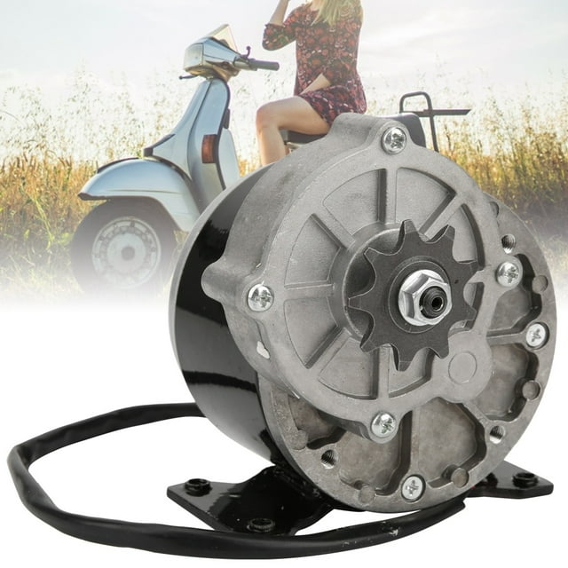 Motorreductor De Patinete Eléctrico De 12V250W/24V250W, Motorreductor De Metal De Mano De Obra Fina De Bajo Ruido, Para Accesorio De Patinete Eléctrico ANGGREK 24V250W