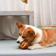 thumbnail image 4 of Hugsmart Spaghetti Meatball Dog Ball Toy 3.5x3.5x3.5inch, 4 of 8