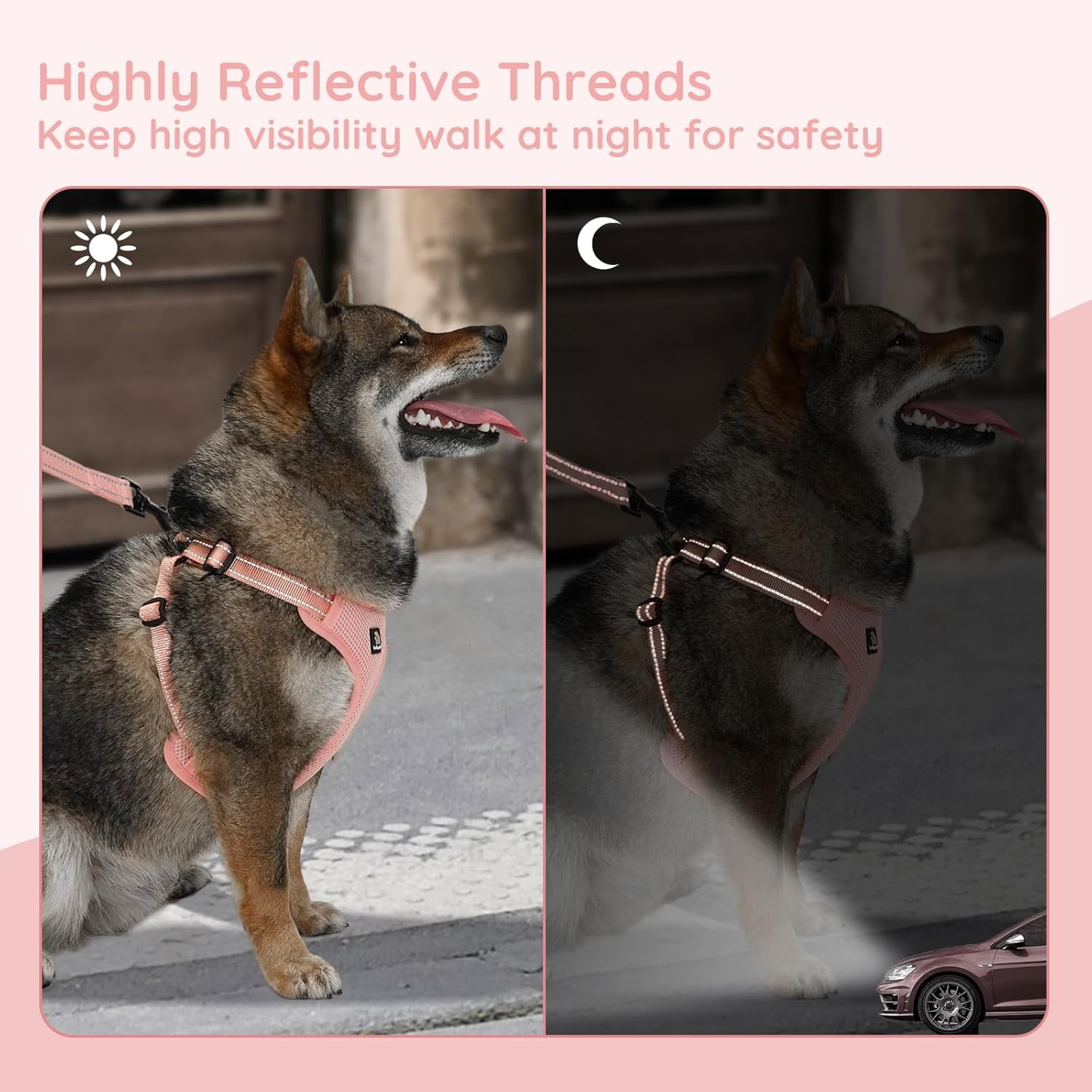 BELLA & PAL Dog Harness for Medium Dogs, Adjustable Reflective No Pull Step-in Dog Vest, Breathable Soft Mesh Harness and Leash Set for Small Medium Dogs, Coral Pink, XS