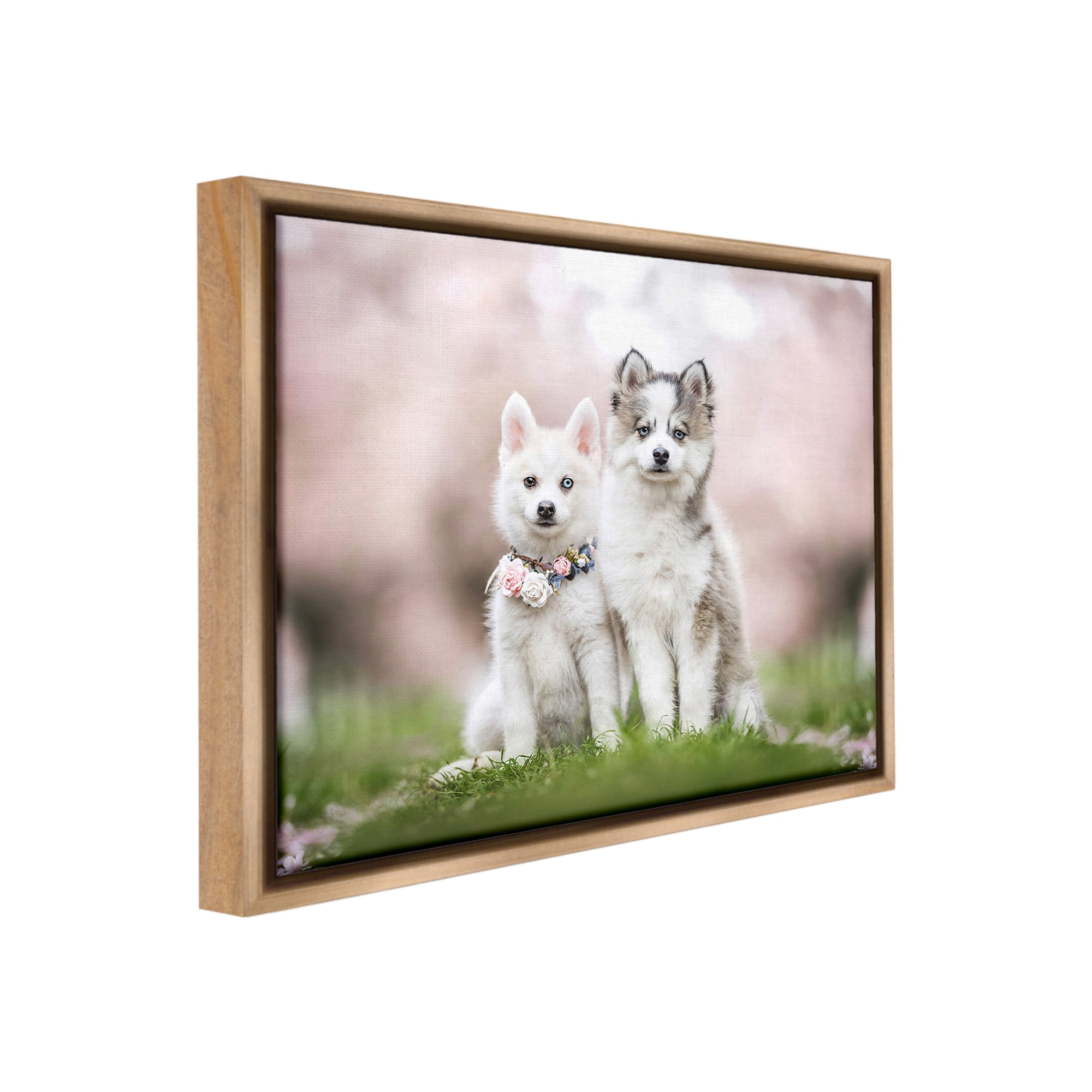 Stupell Industries Husky Puppies in Meadow Animals & Insects Painting Brown Floater Framed Canvas Art Print Wall Art, 21 x 17