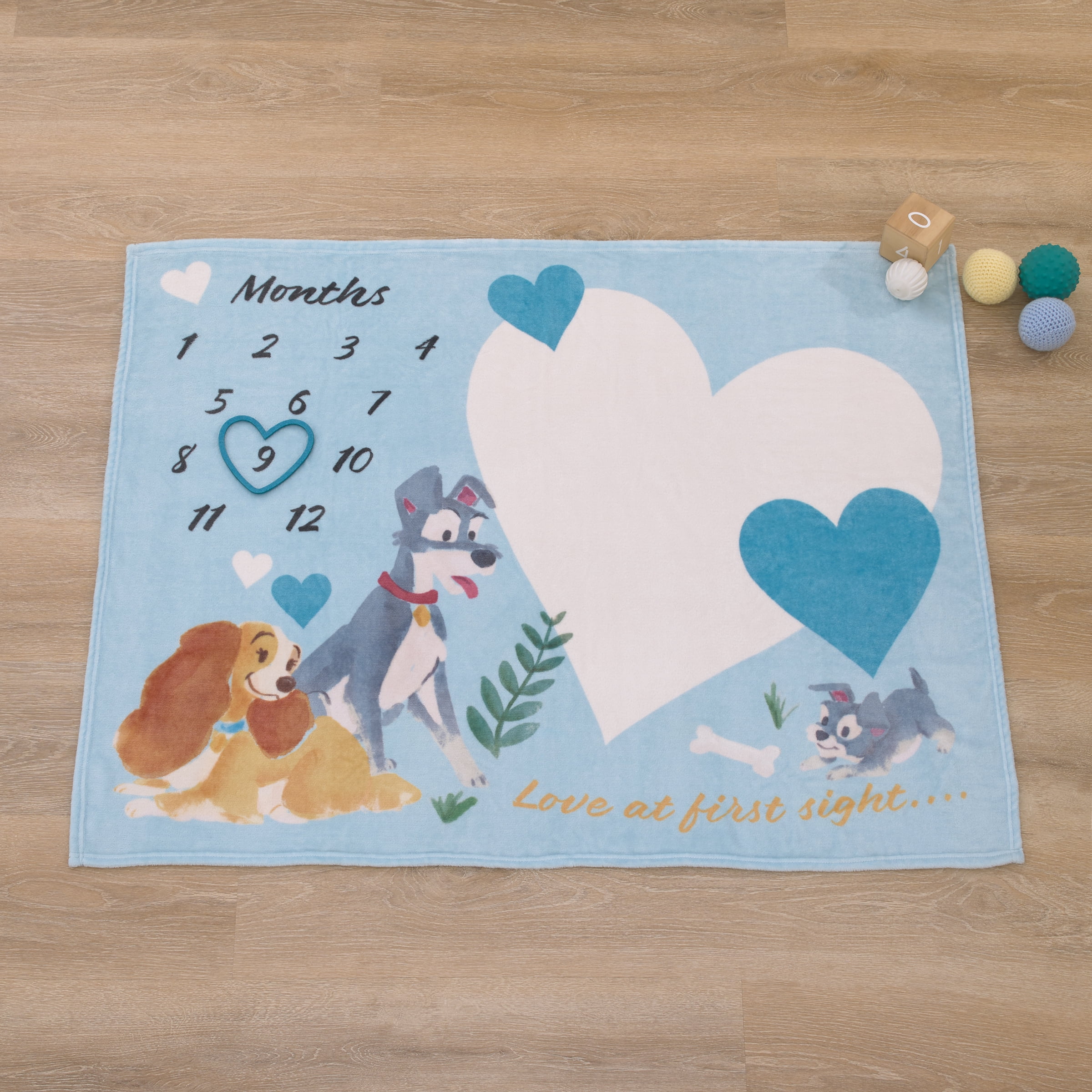 Disney Lady & the Tramp Photo Op Milestone Baby Blanket