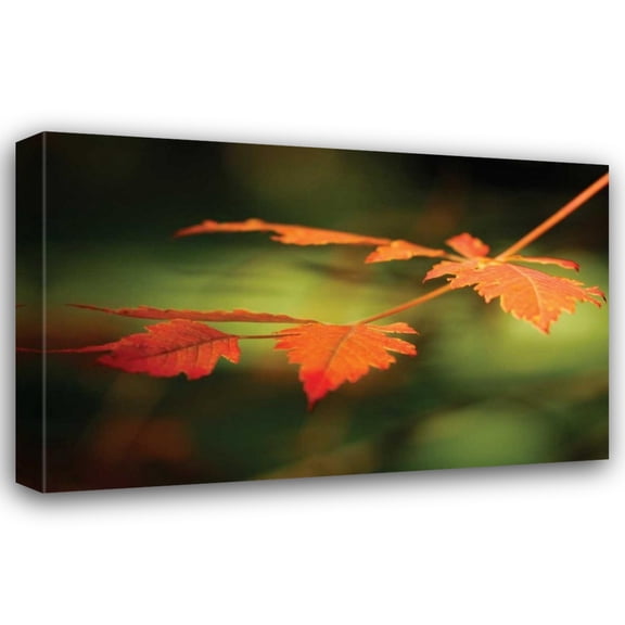 Vitaly Geyman 18x13 Gallery Wrapped Canvas Wall Art Titled - Autumn Fire Leaves I