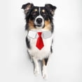 thumbnail image 4 of CSChome Collier pour Animaux de Compagnie avec Anneau en D Boucle Réglable Polyester Cravate Cosplay pour Chien, 4 of 7