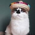 thumbnail image 1 of Sombrero de Paja Multicolor para Perro Xihbxyly Disfraz de Mascota, 1 of 7