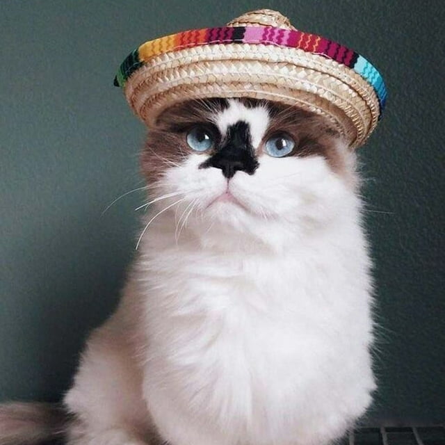 Sombrero de Paja Multicolor para Perro Xihbxyly Disfraz de Mascota
