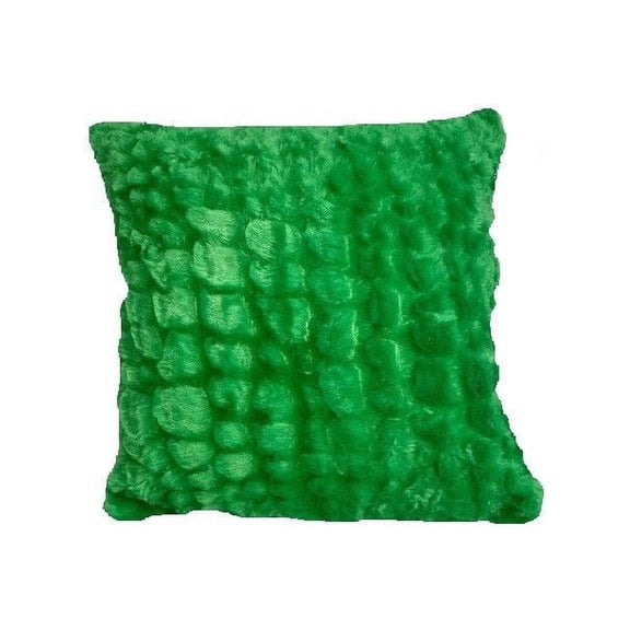 Pillowtex Throw Pillow and Plush Cover 18"x18" (Green)