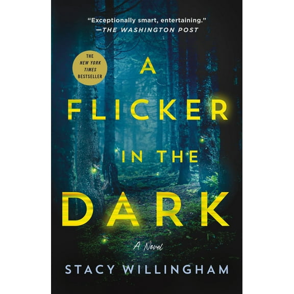 A Flicker in the Dark: A Novel (Paperback)