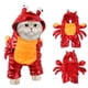 thumbnail image 5 of Disfraz de cangrejo para perro y gato, vestido de cosplay de Halloween para mascotas, sudadera roja con capucha para cachorros, ropa cálida, 5 of 6