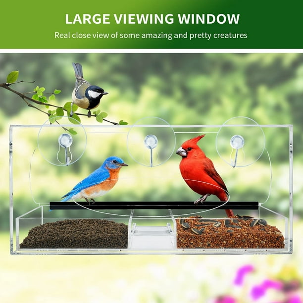 Mangeoire en acrylique pour oiseaux, fenêtre résistante aux intempéries,  maison avec plateau à graines coulissant et ventouses fortes, cadeaux pour  l'observation des oiseaux