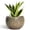 Speckled Blue, variant on Ordivic 4 Inch Blue Ceramic Planter with Drainage Hole – Small Round Flower Pot for Succulents, Cacti, Herbs, Unique Home Decor