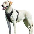 thumbnail image 2 of Reflective Straps Dog Harnesses, Customizable Neck and Chest Fit, No Pull Walking Experience with Adjustable Vest, Easy Control Handle, Quick Snap Buckles, No Choke Design for, 2 of 8