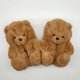 thumbnail image 1 of Pantuflas De Oso De Peluche Para Mujer Irene Inevent AP006544-04, 1 of 6