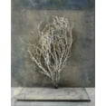 thumbnail image 2 of Ray, Elena 15x18 White Modern Wood Framed Museum Art Print Titled - Desert Form III, 2 of 4